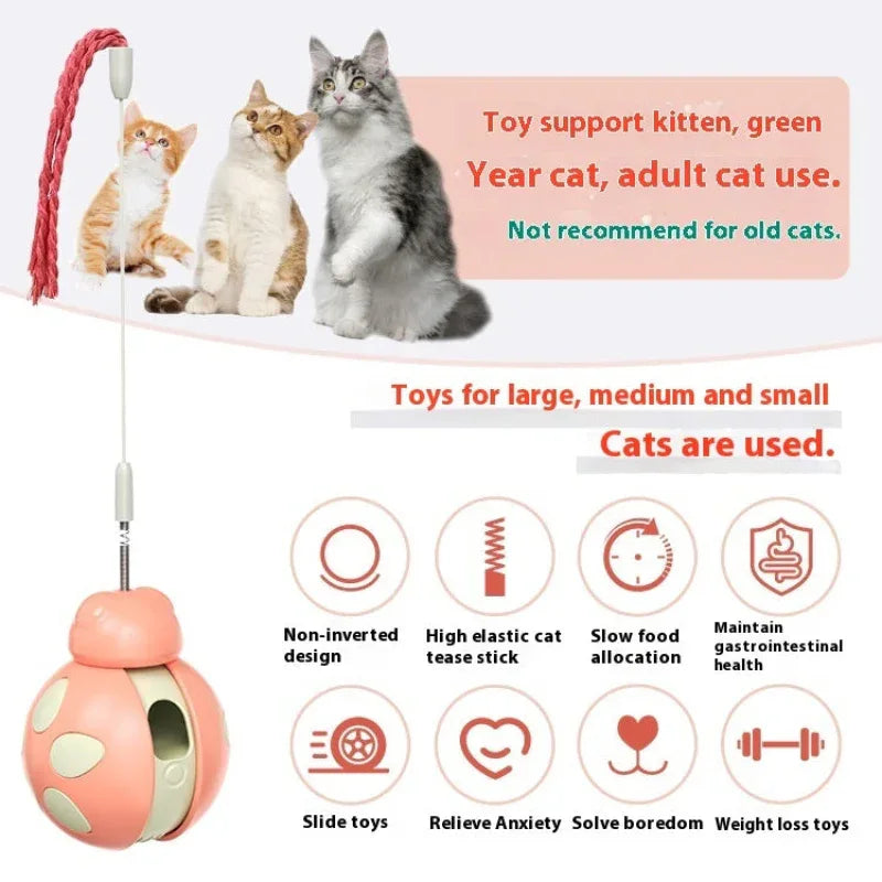 Appealing And Stimulating Cat Food Leakage Pet Food Dispensing Toy