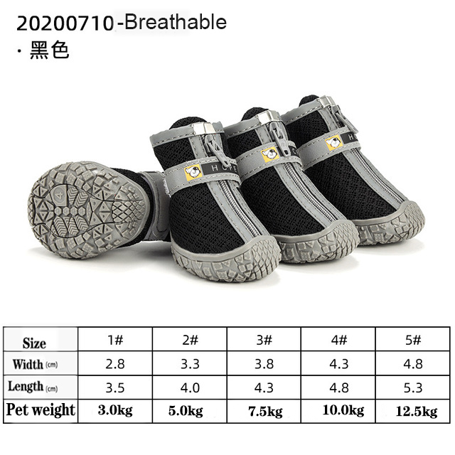 Hundeschuhe für heißen Asphalt