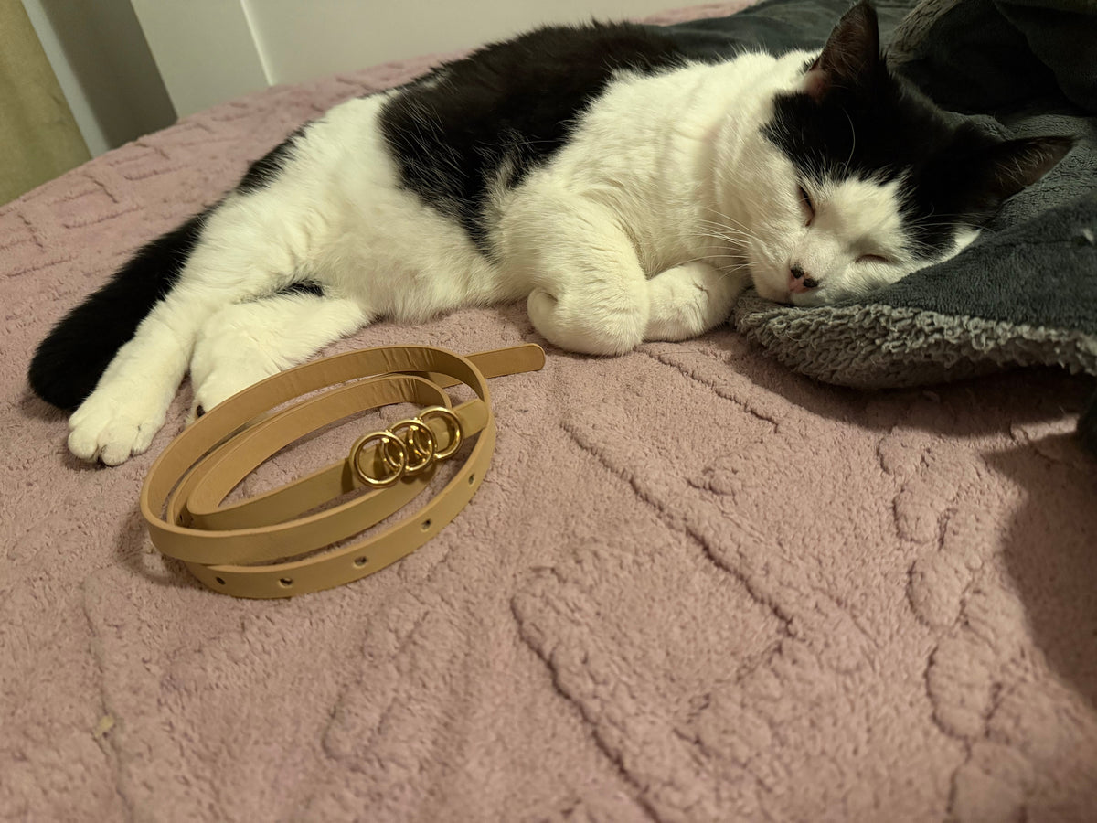Caramel Female Belt