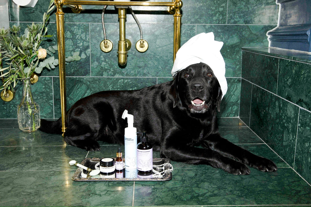 Pawdicure Set - For Dry and Dirty Paws