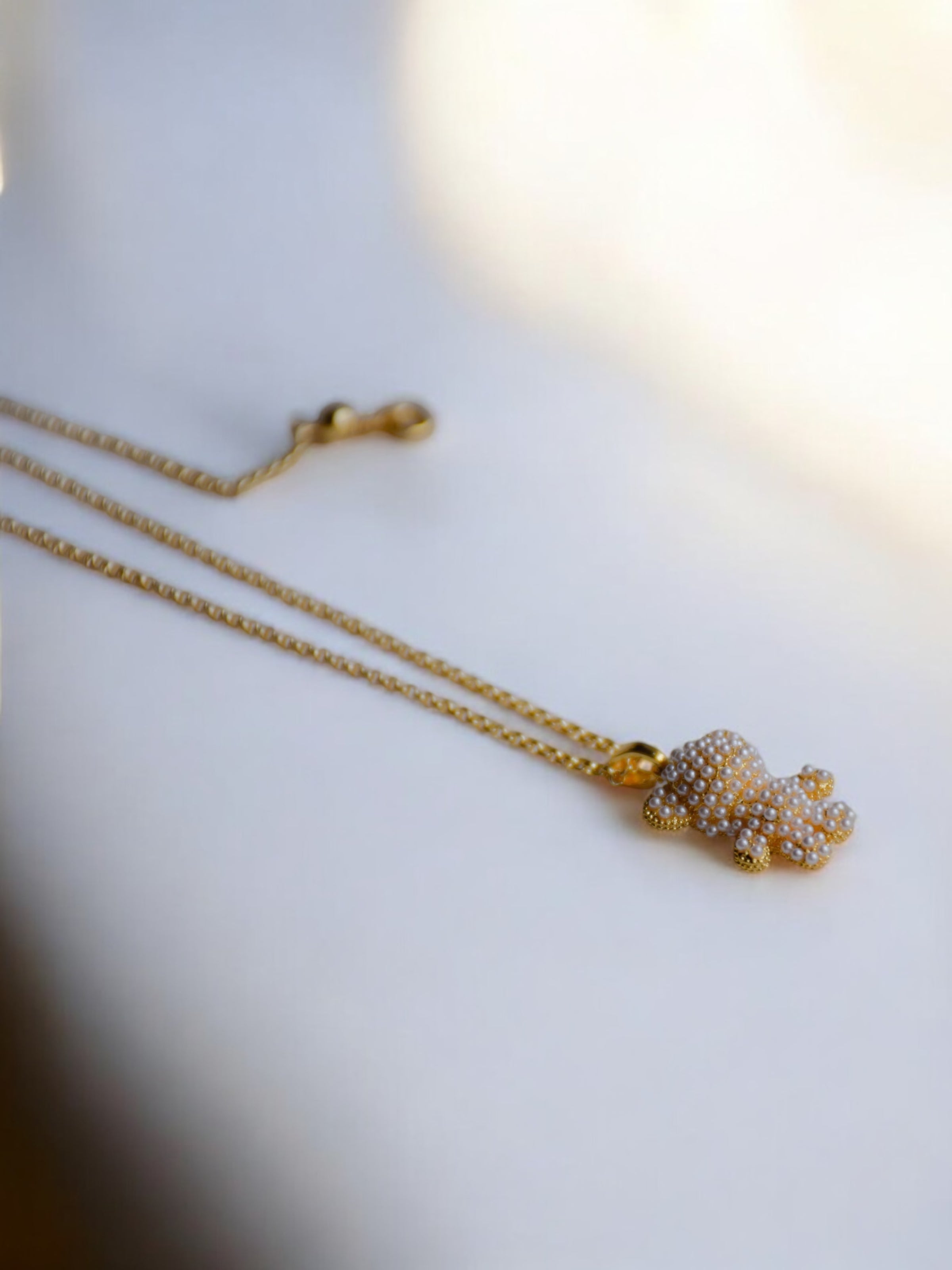Teddy gold halsband