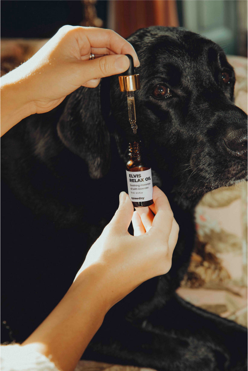 Total Relaxation Kit - For Stressed Dogs
