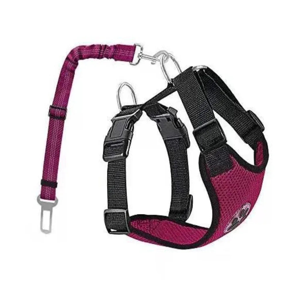 Adjustable Nylon Dog Pet Harness With Removable Rope Leash