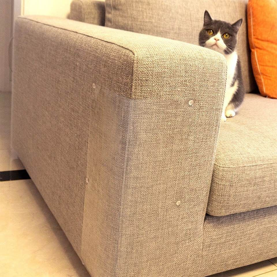 Möbelschutz gegen Katzenkratzer 