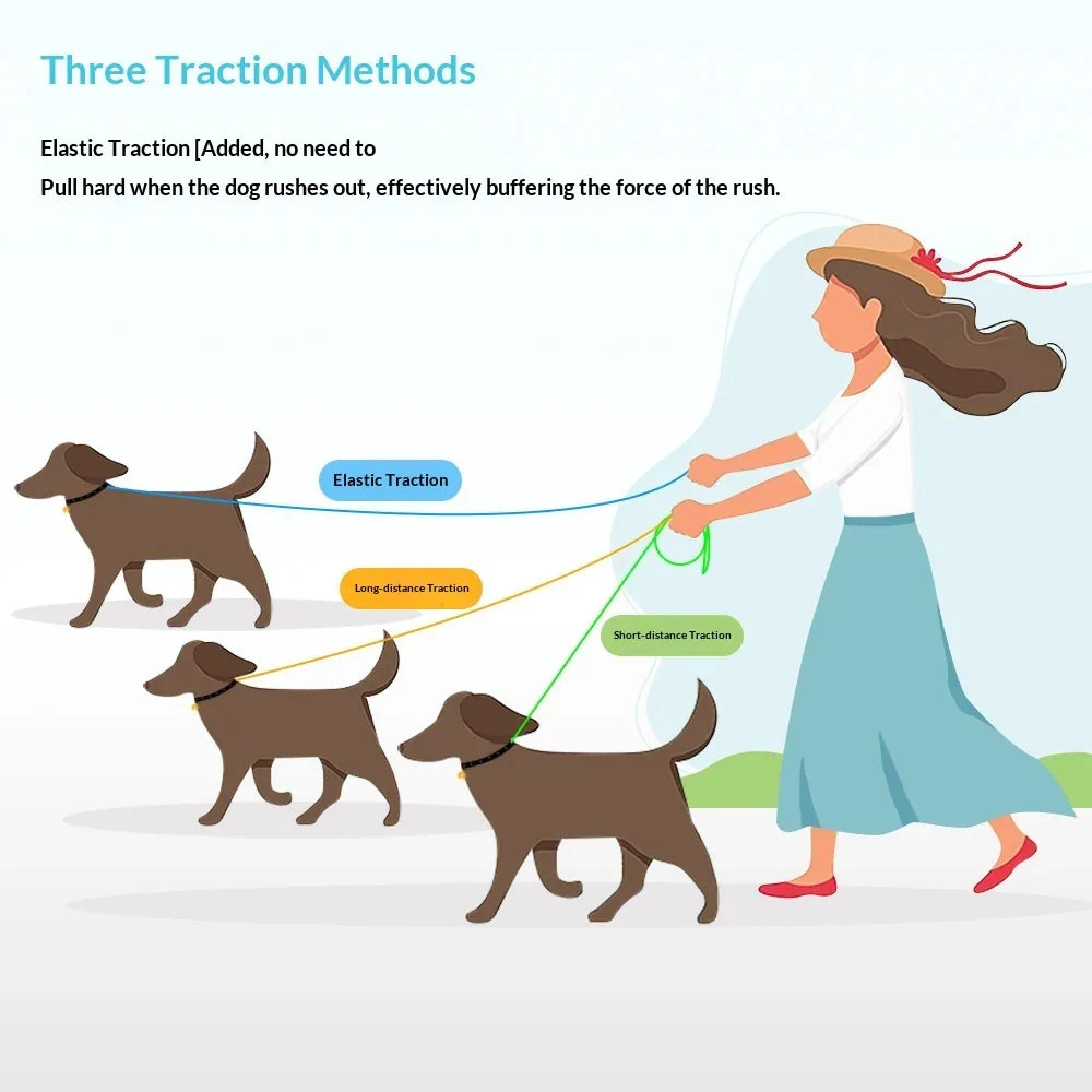 Reflective Anti-Burst Dog Leash For Outdoor Walks