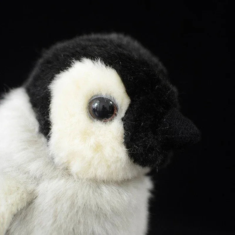Cute Little Penguin Baby Plush Toy Doll