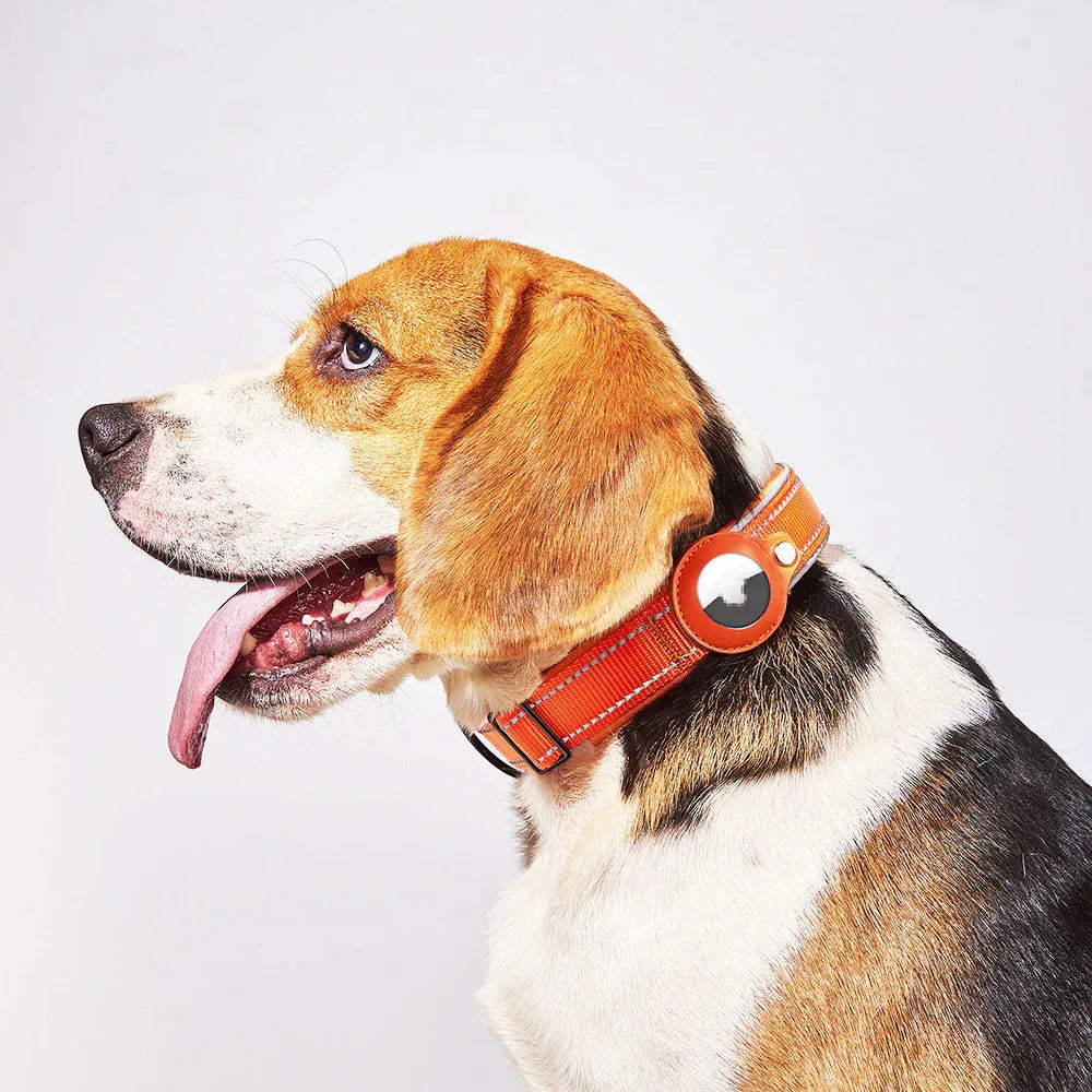 Airtag Leather Case Nylon Dog Cat Pet Anti-Lost Location Tracker Collar