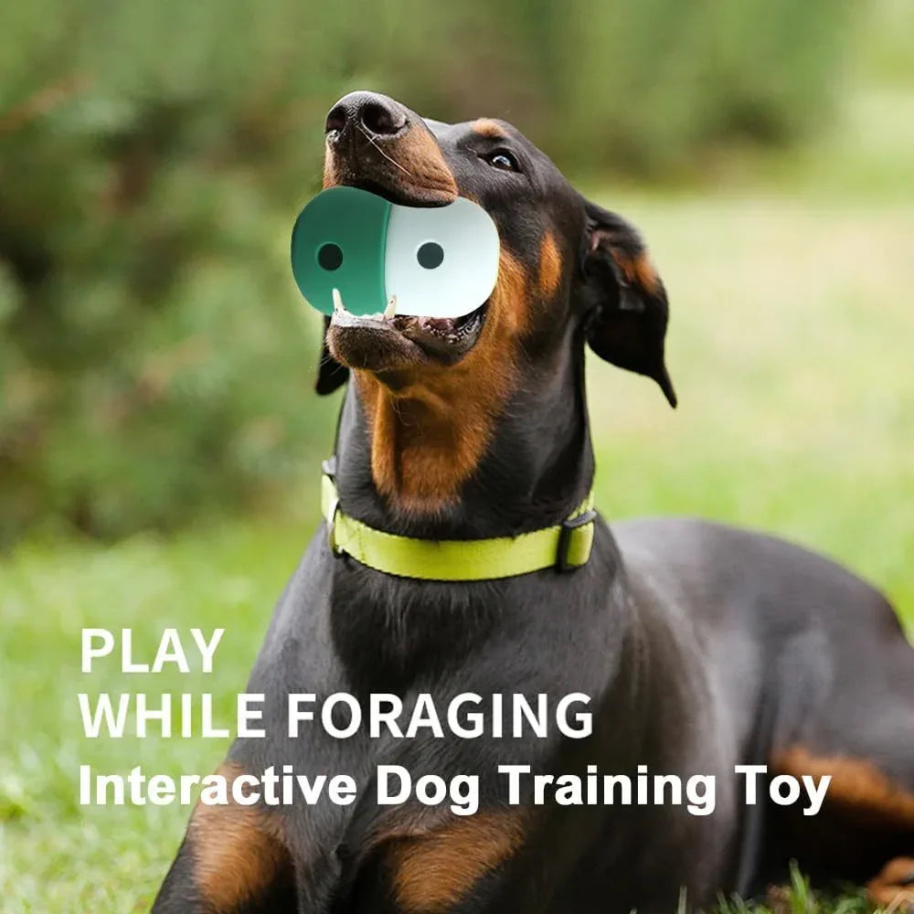 Dog Treat Food Dispensing Slow Feeding Toy