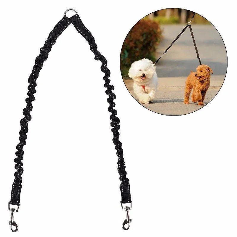 Double Nylon Pet Dog Leash
