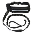 Pet Handsfree Dog Leash And Waistbag