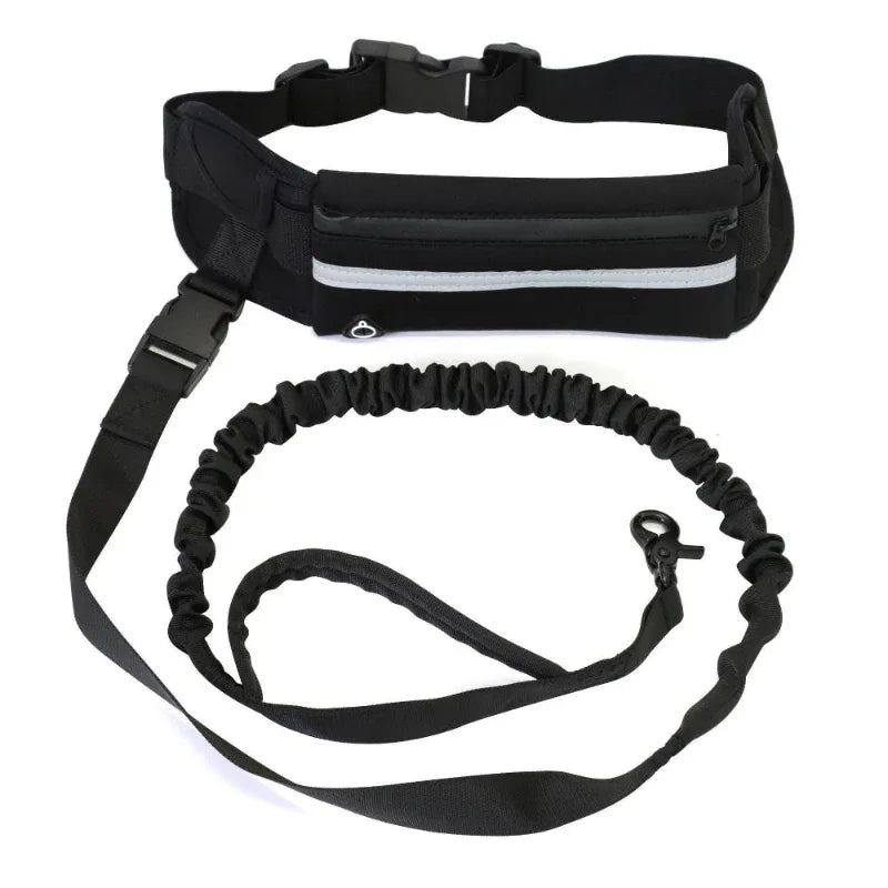 Pet Handsfree Dog Leash And Waistbag