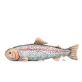 Fish Aquatic Animal Plush Doll Toy