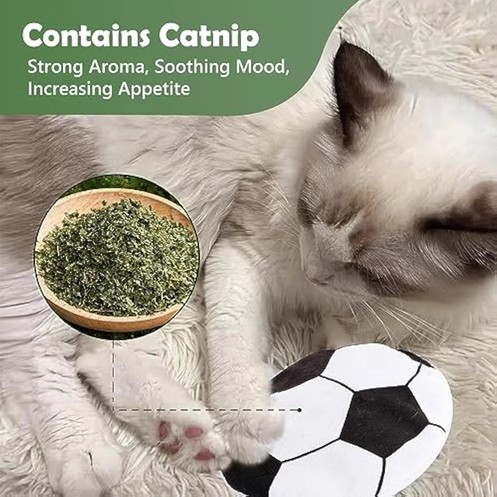 Flying Discs Frisbees Soft Catnip Filled Cat Toys