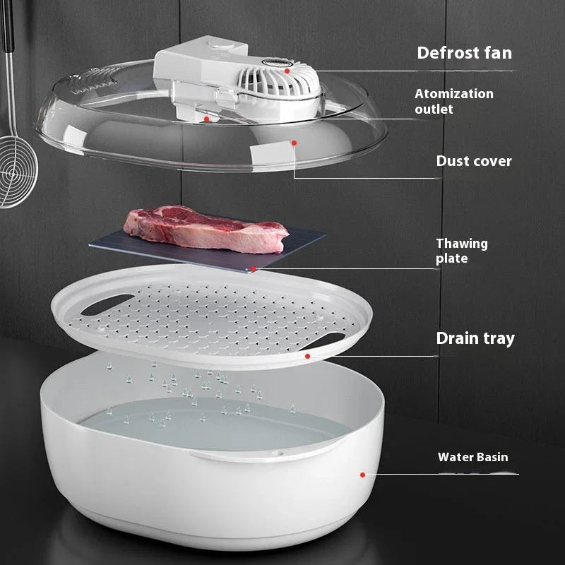 Household Quick Defrosting Food Plate Device
