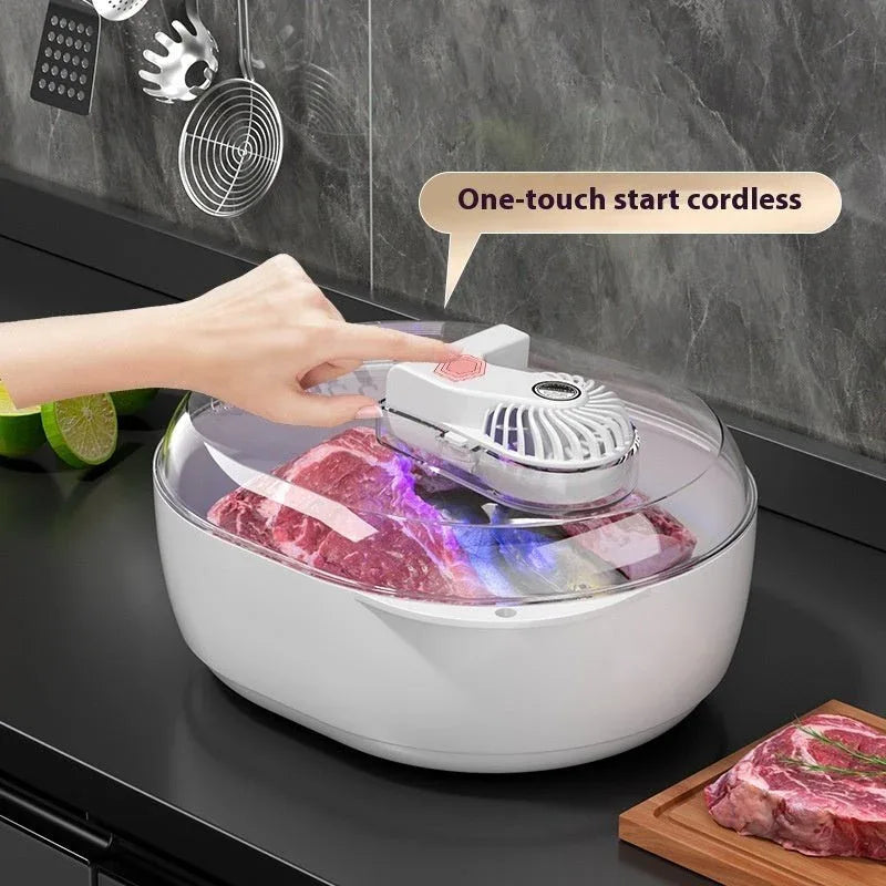 Household Quick Defrosting Food Plate Device