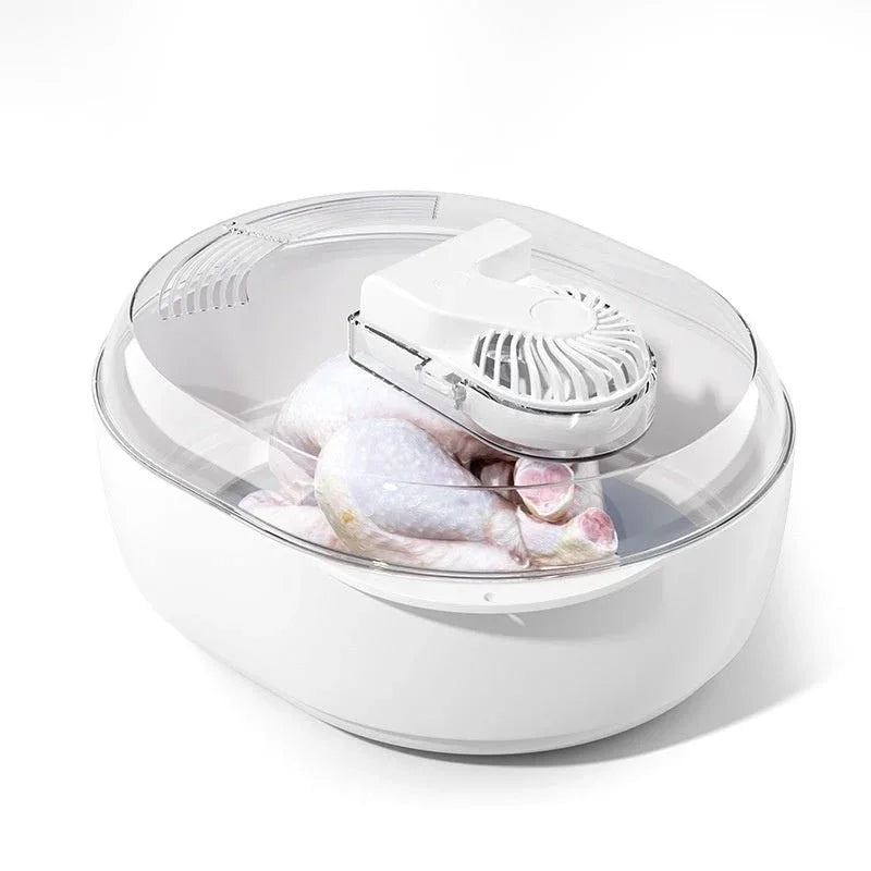Household Quick Defrosting Food Plate Device