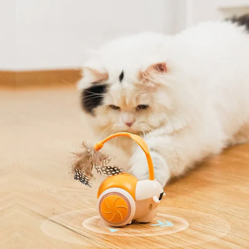 Intelligent Electric Cat Chasing Toys For Indoor Exercise