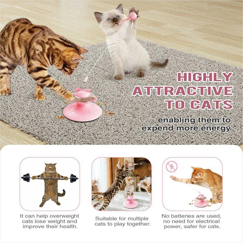 Interactive Scratch Post Cat Toys With Suction Cup