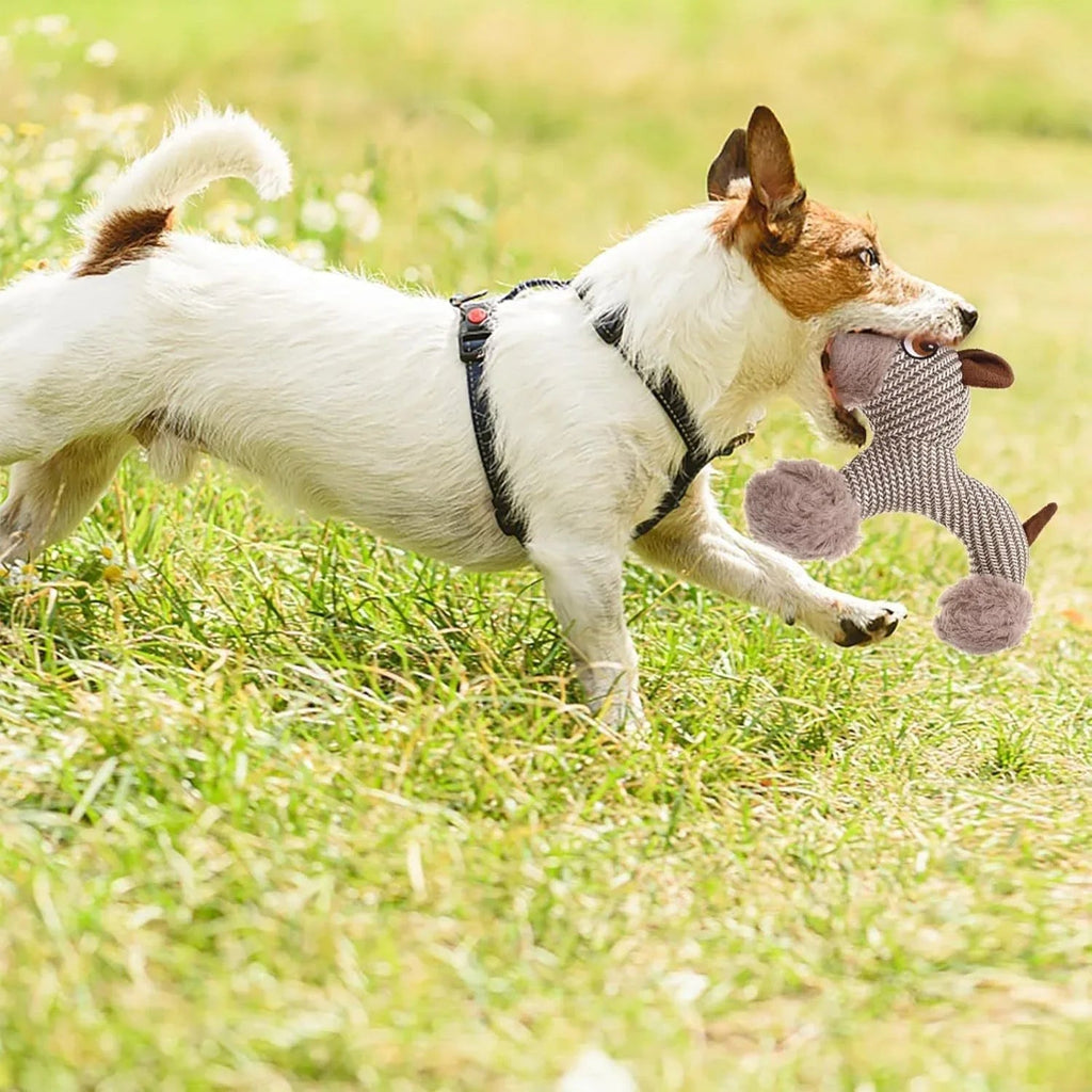 Large Squeaky Stuffed Animals Dog Plush Chew Toys