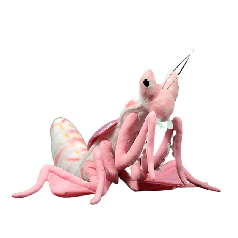 Lifelike Mantis Plush Toys Stuffed Animals For Kids