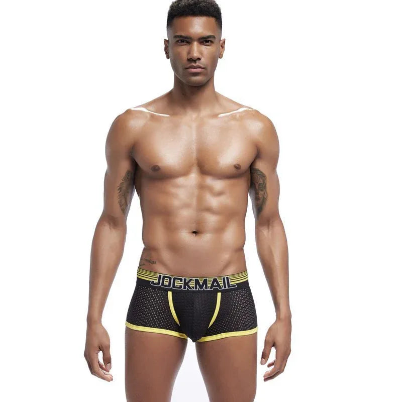 Men's Mesh Quick-Drying Underpants Underwear