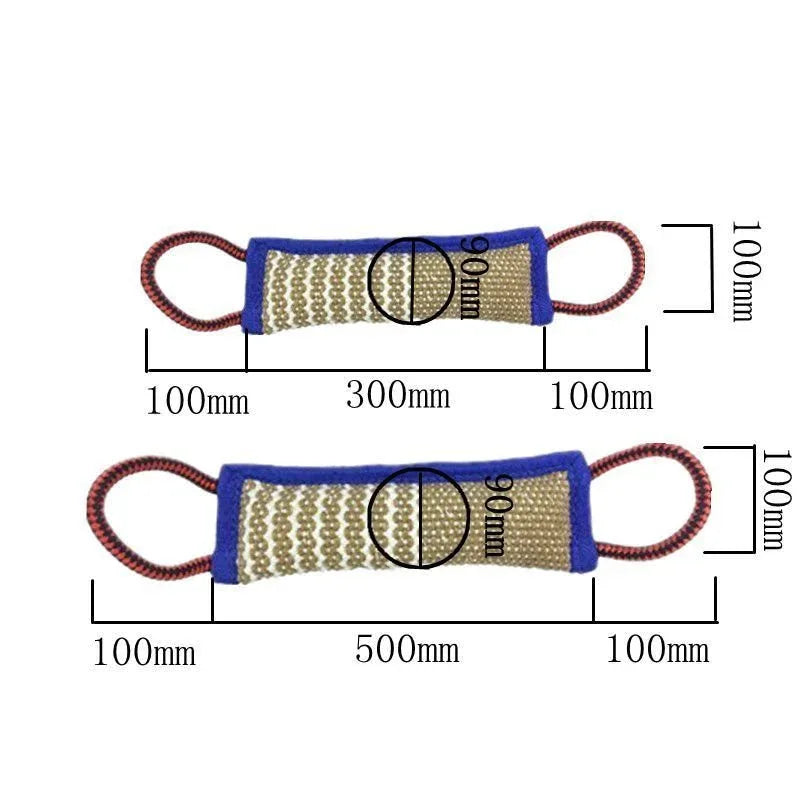 Pet Dog Training Chew Toy