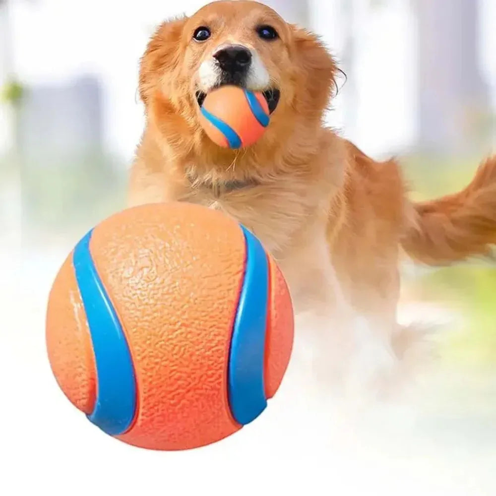 Pet Fetch Ball Dog Chew Toys