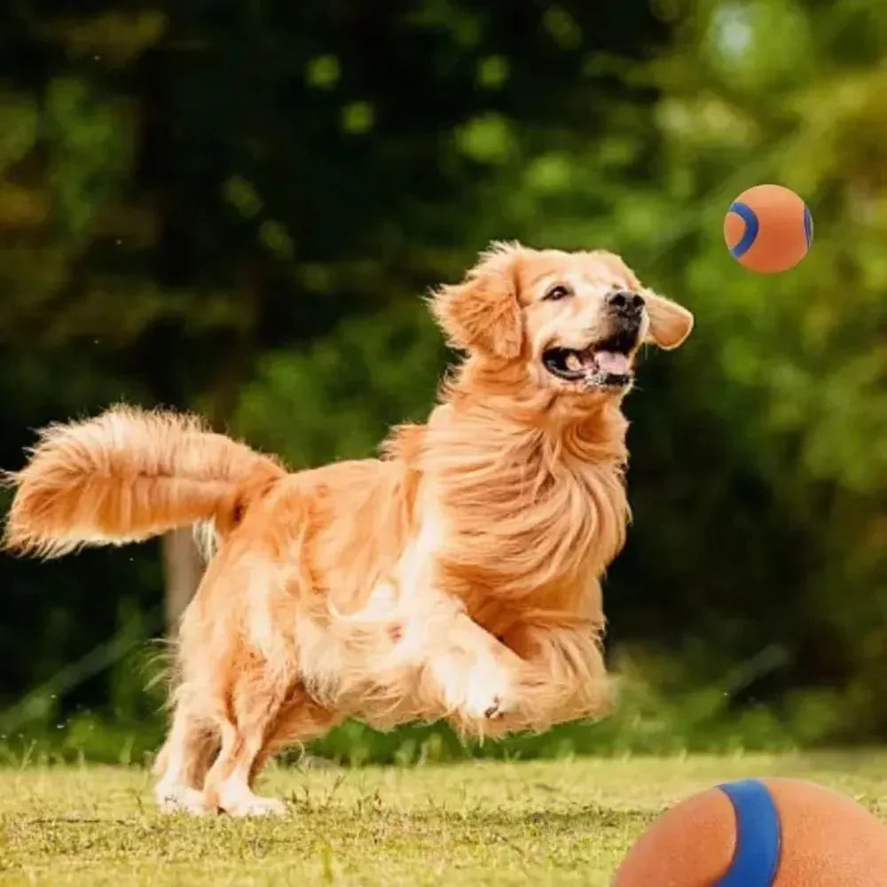 Pet Fetch Ball Dog Chew Toys