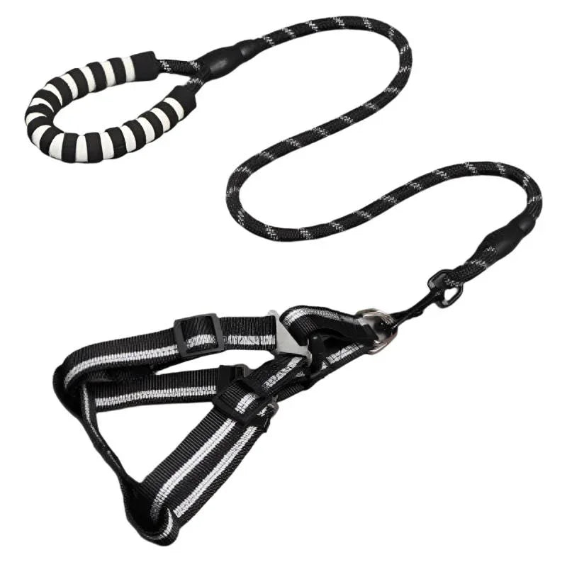Pet Supplies Dog Leash & Chest Harness