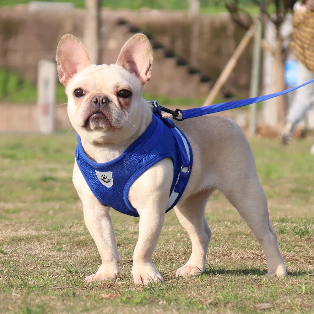 Polyester Reflective & Breathable Pet Dog Harness With Leash