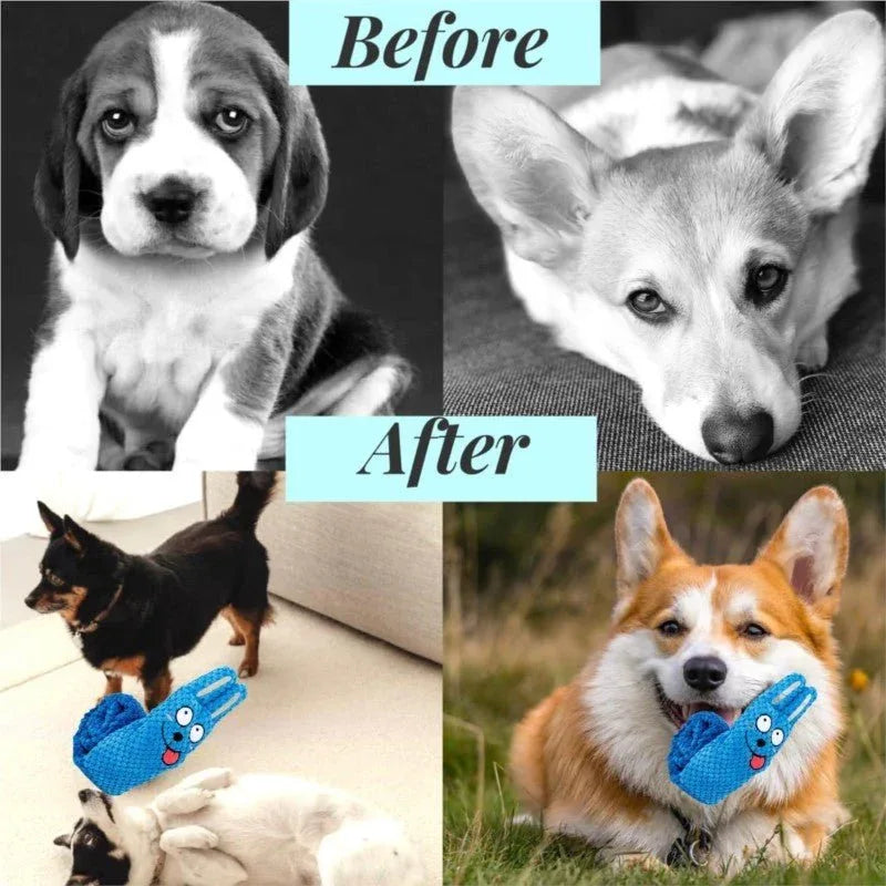 Squeaky Interactive Dog Puppy Bite-Resistant  Soft Comfortable Dog Toy