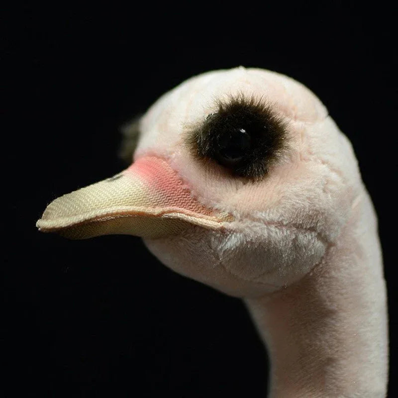 Super Cute African Ostrich Plush Toy