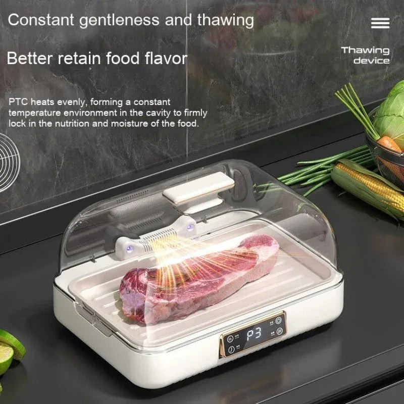 Thawing Plate Heating Household Cooking Device