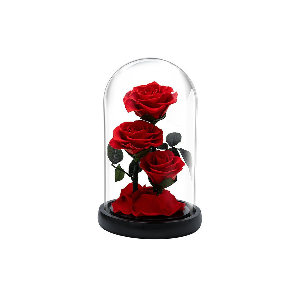 Three Lifetimes of Love in a Rose Box!-2