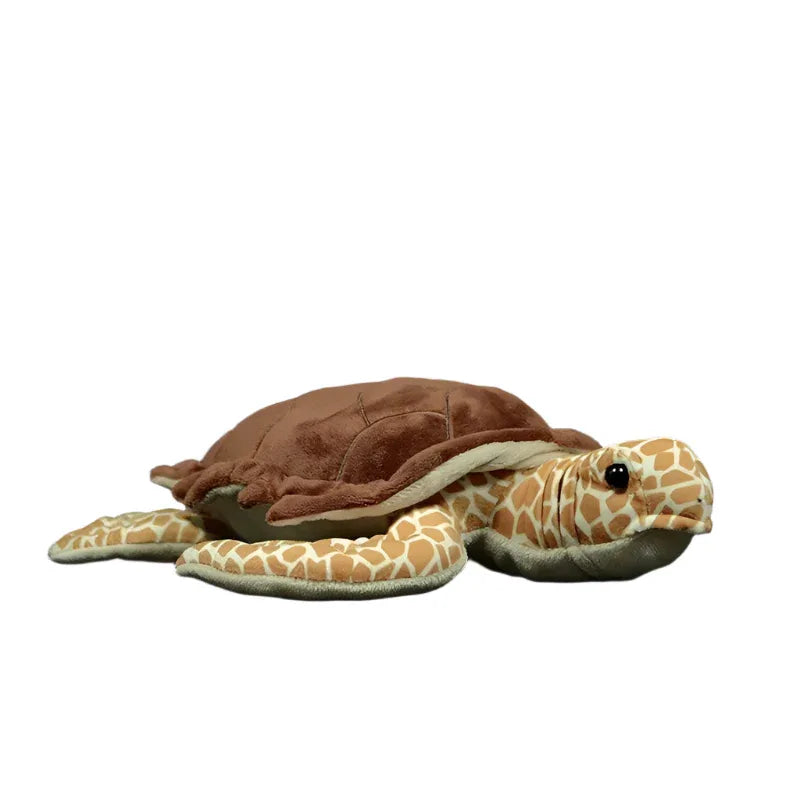 Tortoise Turtle Plush Toy