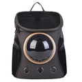 Transparent Pet Bag Backpack