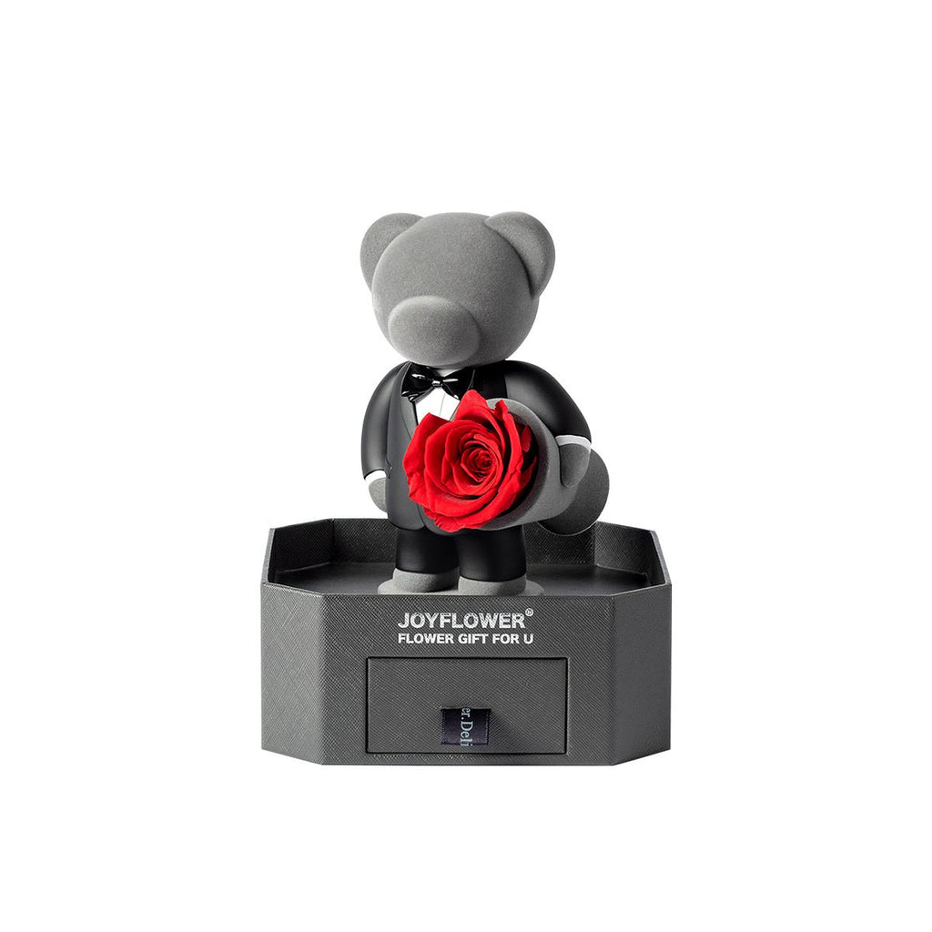 Enchanting Timeless Romance Teddy Promise-3