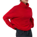 Winter Turtleneck Sweater Fashion Personality Long Sleeve Knitted Top Women's Clothing