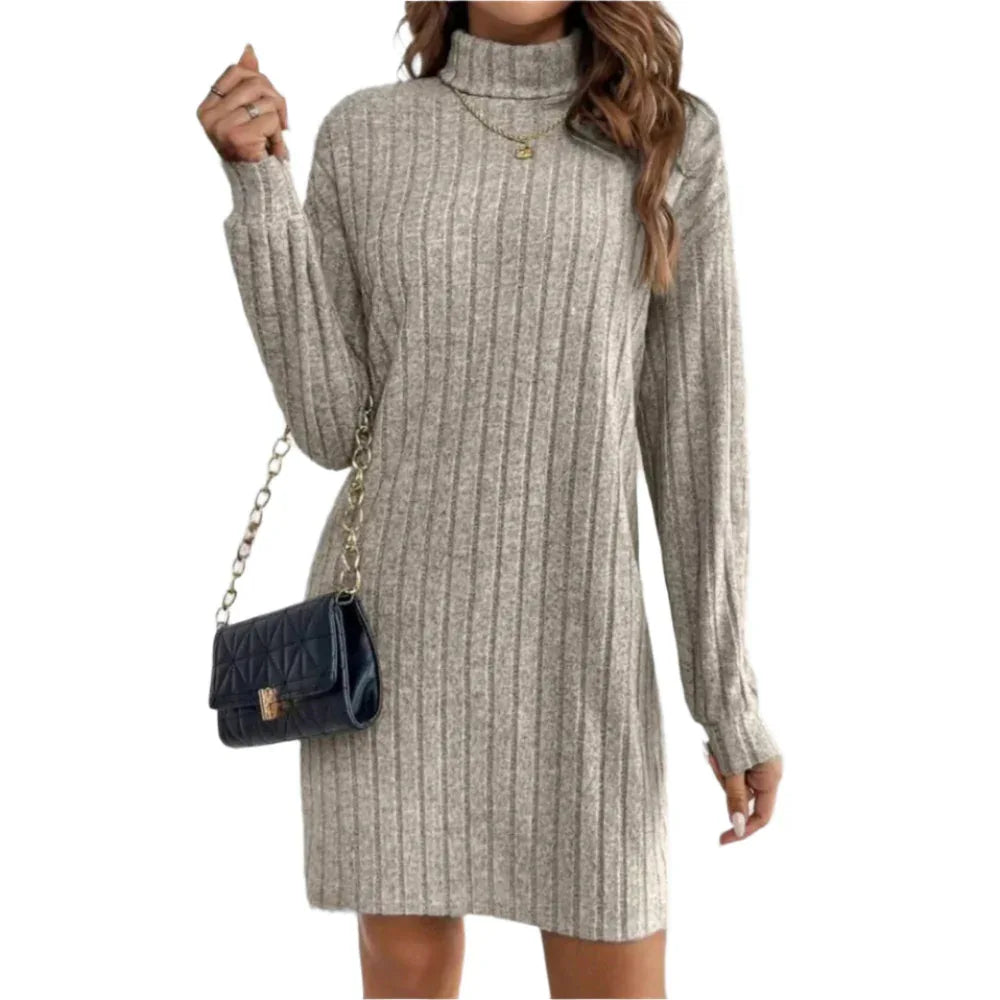 Women's Loose Fit Polyester Turtleneck Collar Dress