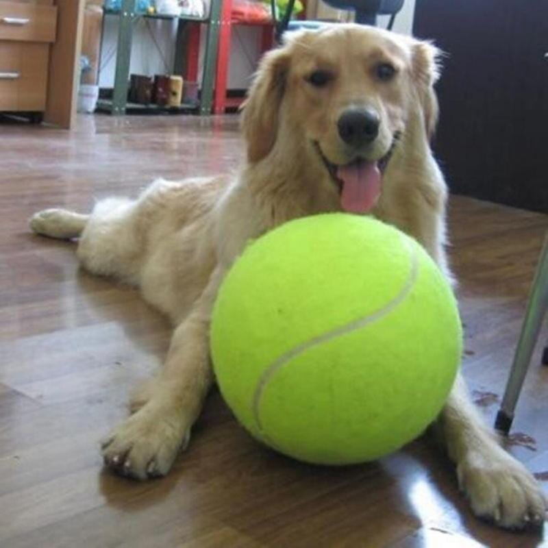 XXL Tennisboll för hund